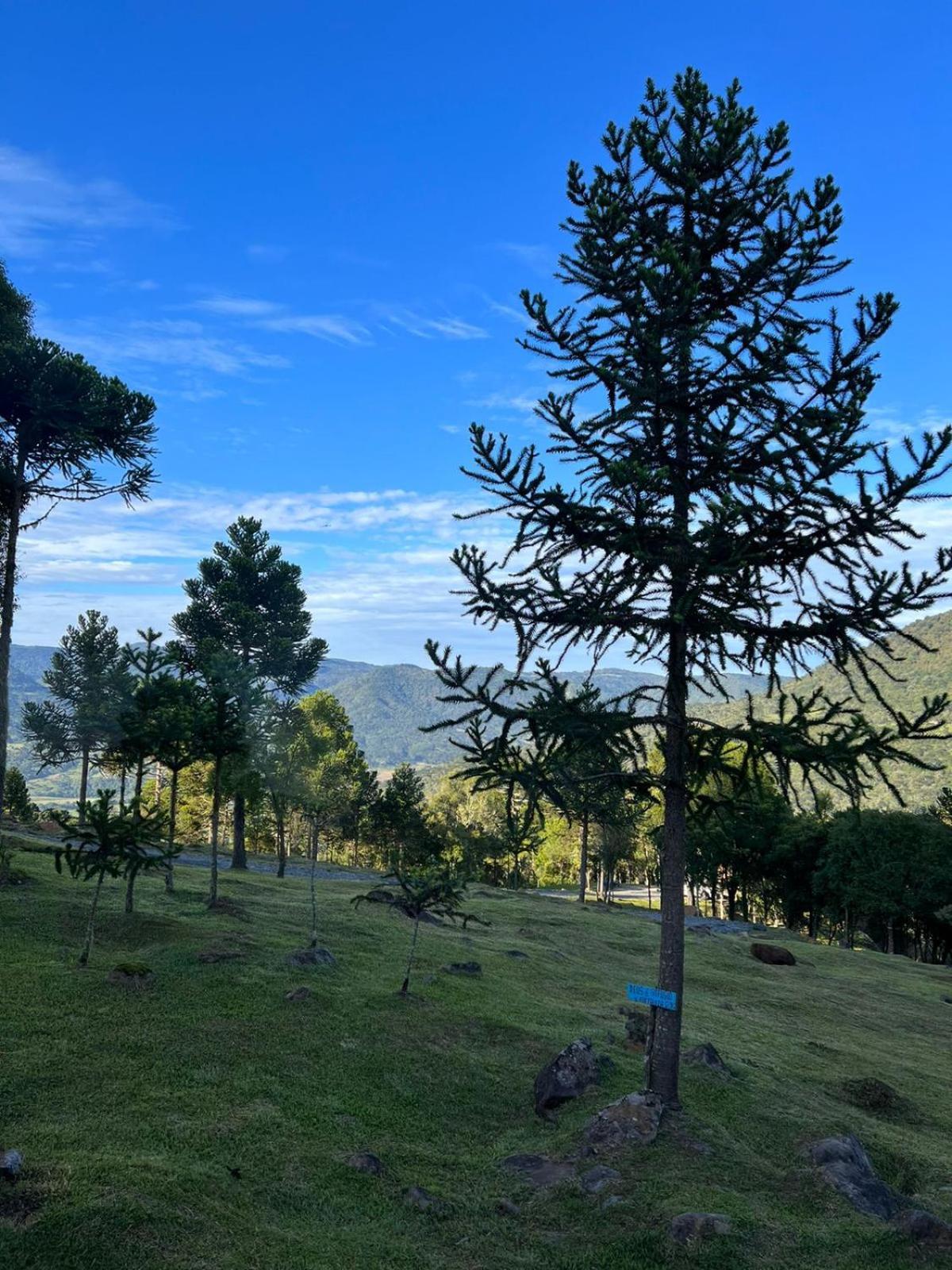 Cabana Refugio - Pousada Colina Dos Ventos Urubici Luaran gambar